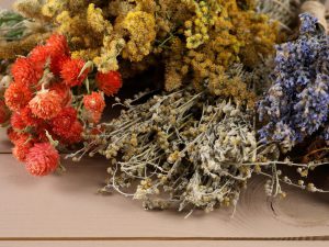 Tipos de plantas medicinales para cultivar en casa