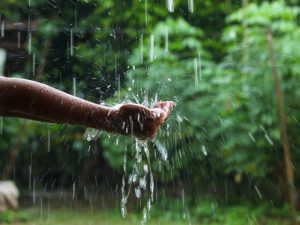 Imagen que representa los sistemas de recolección de agua de lluvia